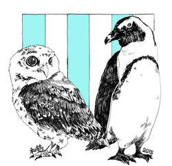 ペンギン梟