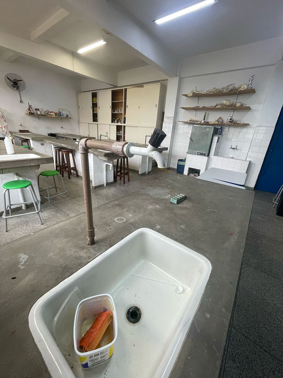 E.E Sebastião de Souza Bueno