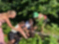 2327f2d4-edf3-4639-8019-29a33af0e4d5.jpeg