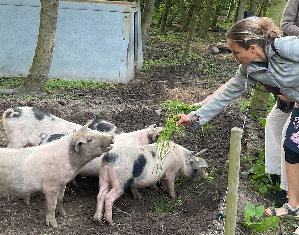 Hvordan ser fremtidens landbrug ud?