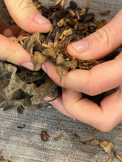 Det siger deltagerne