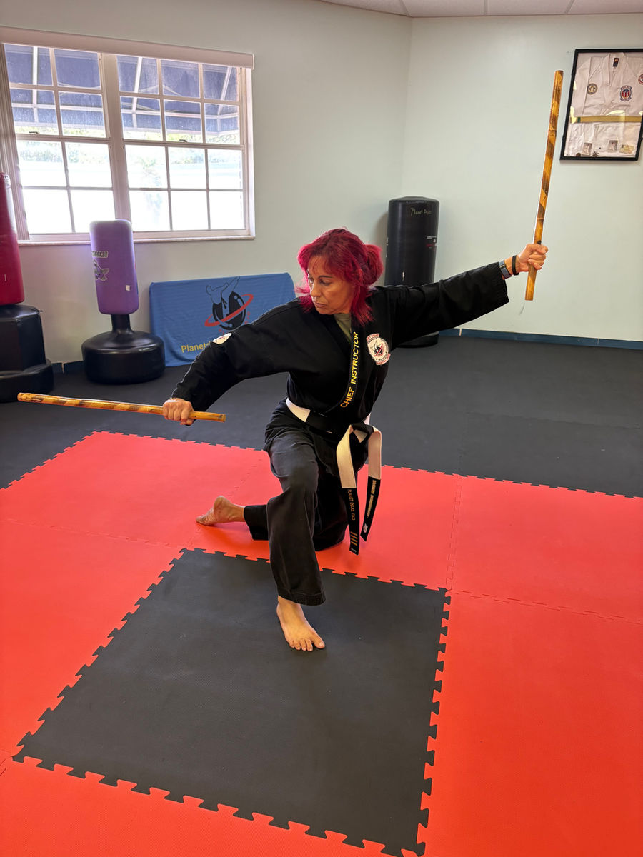 Planet Dojo Martial Arts