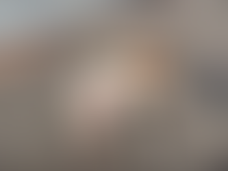 Cachorra atacada por sucuri recebe alta de clínica veterinária 