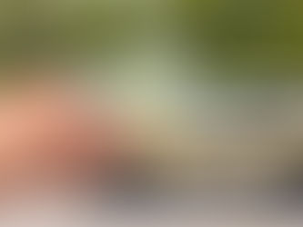 CNH muda, mas treino de baliza continua em Fernandópolis