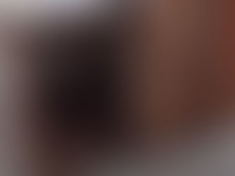 Cão comunitário ganha casa nova após furto da anterior