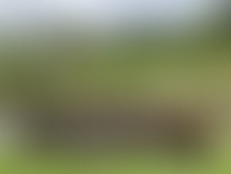 5月1日(日)「杉坂ファミリー チャリティーフライフィッシングスクール」大盛況のうちに無事終了しました。