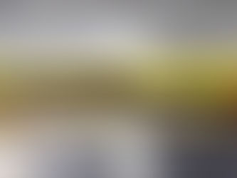 鮎釣果情報です(8月20日分)