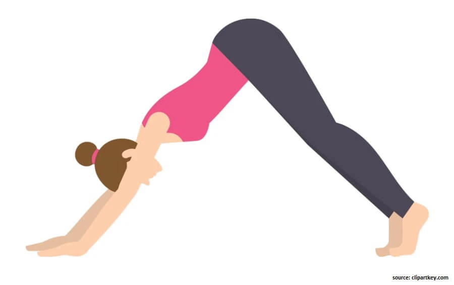 Downward Dog Pose