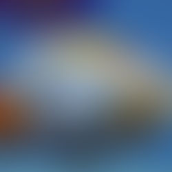 Understanding Goldfish Grades and Quality: Essential Guide for Ranchu and Oranda Enthusiasts