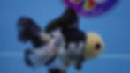 Thumbnail: Panda Rosetail Oranda Male