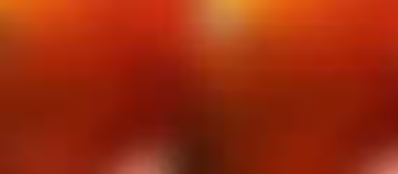 How to Treat Ich (White Spot Disease) in Goldfish: A Step-by-Step Guide