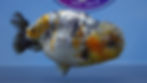 Thumbnail: A Grade Large Kirin Ranchu Male