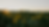 Sunflowers in the Dordogne