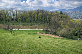 à vendre Astrine Immobilier 2.jpg