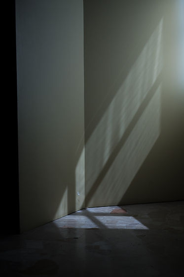 Light and Shadow