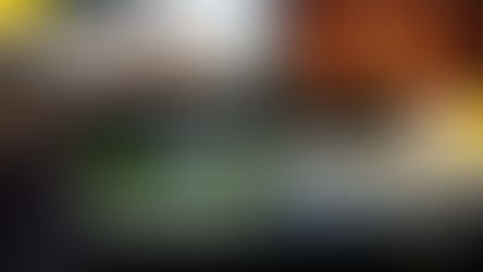 Yetişkinler için Belgesel Önerileri III