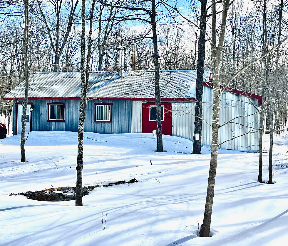 Cabane rouge et bleue en forêt enneigée, avec toits métalliques. Arbres sans feuilles et seaux sur tronc pour la sève d'érable. Un endroit magnifique pour stimuler le langage des enfants.
