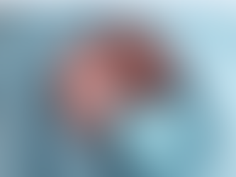 Les impacts potentiels de la prématurité sur le développement du langage