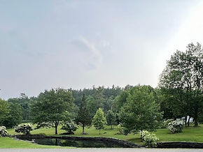 cropped picture of side yard.jpg