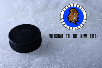 Welcome to the New Website!