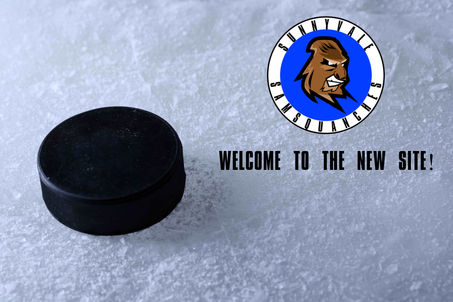 Welcome to the New Website!