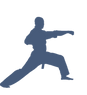 Taekwondo-Transparent-Free-PNG-Clip-Art_edited.png