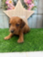 RESERVED - Frank