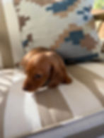 RESERVED - Bernadette