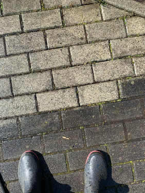 IMG_9319.JPEG