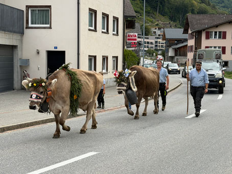 Die ganz grosse Oberflächlichkeit
