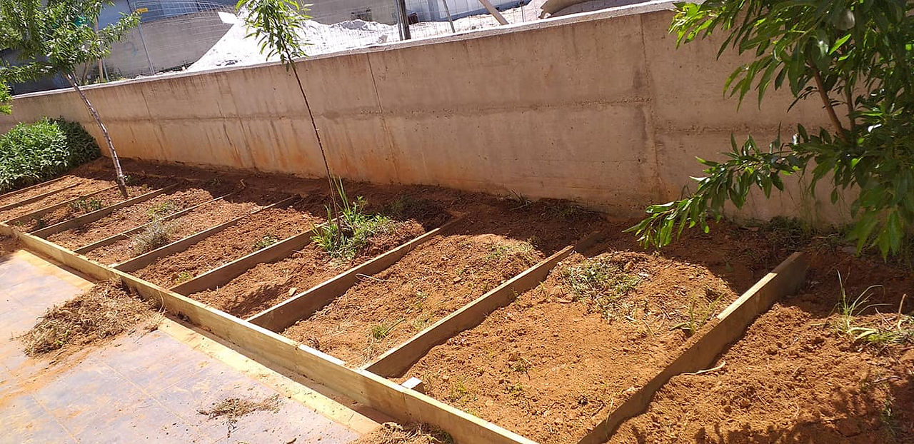 Ready for planting