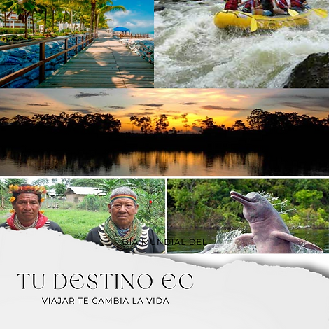 Instagram post día mundial del turismo fotográfico blanco.png