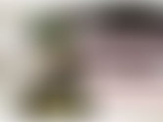 El Premio Nacional Colibrí presenta su estatuilla: una obra de arte con sello de la Unesco