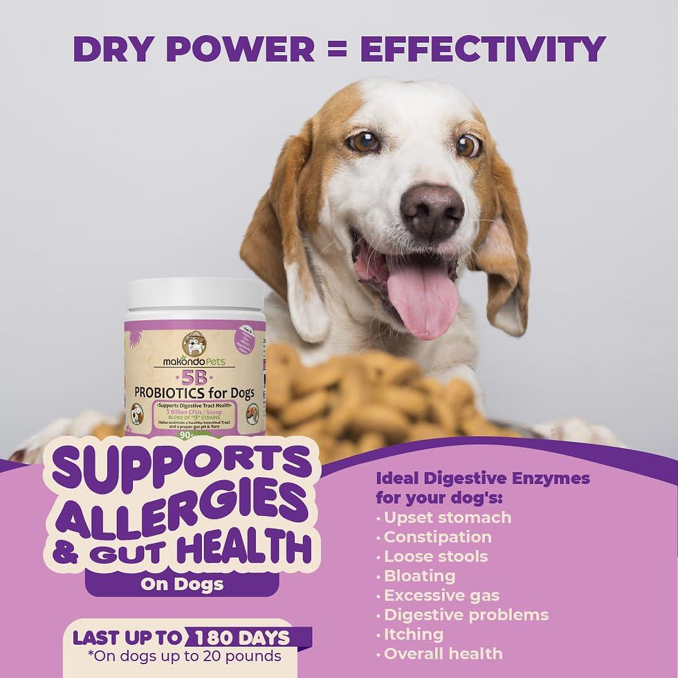 Thumbnail: Probiotics for Dogs Puppies Extra Strength 9 Species 5 Billion CFU per Scoop of