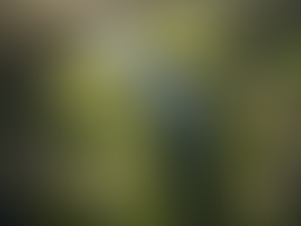 Ultimate Golf Course Reviews in the US