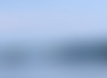 "Settling into Stillness"