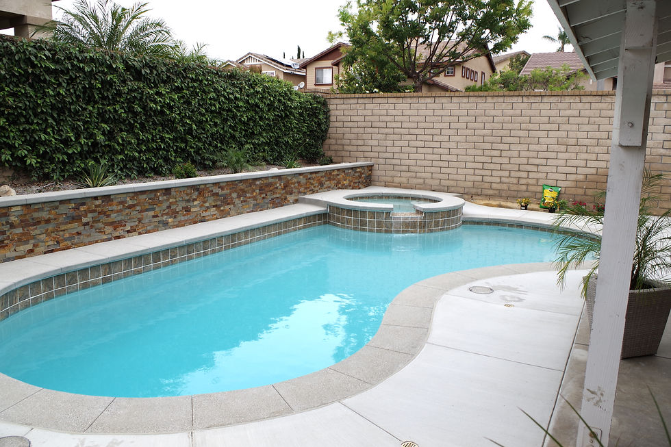 Standard Pool & Spa