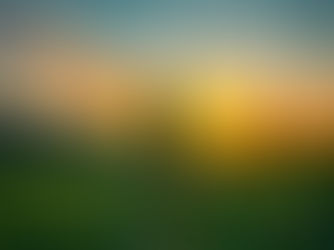 What's New in February at The Rec Dispensary