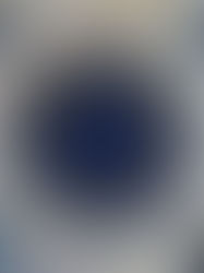 Astrology in Florida: A Look at the Most Popular Zodiac Signs and How They Relate to Floridian Life