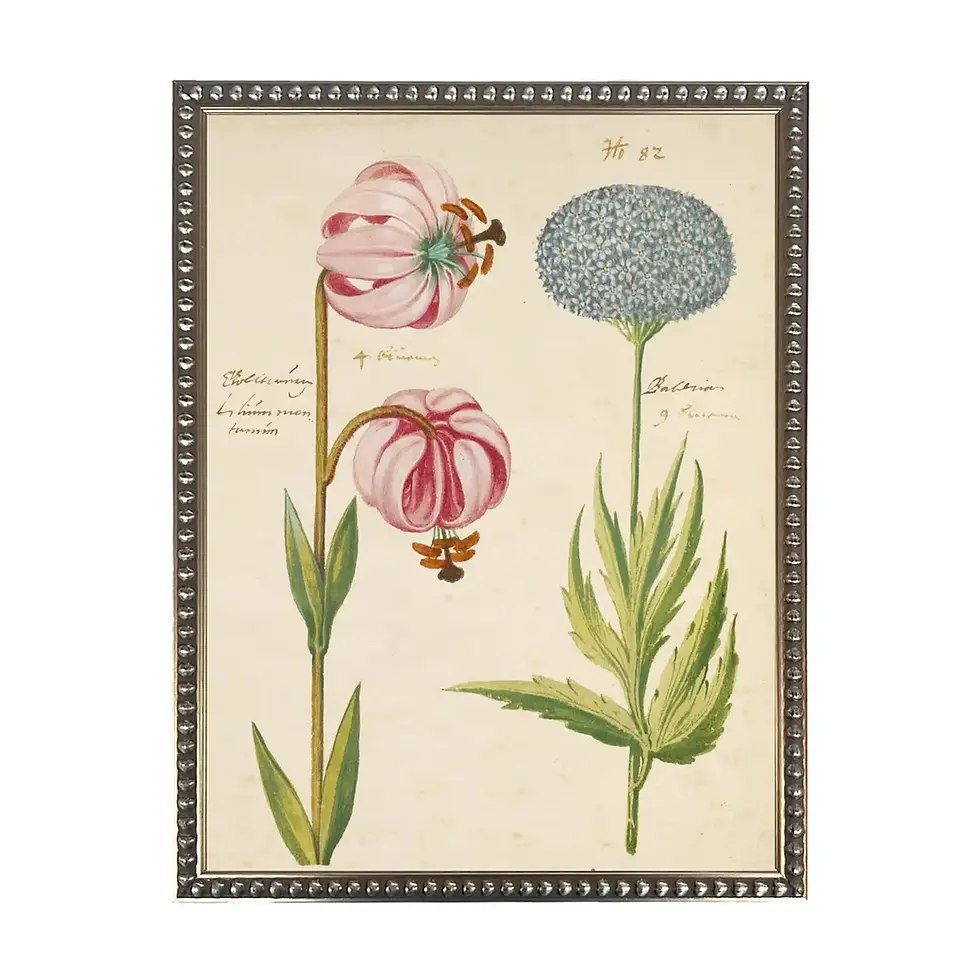 Pink Antique Floral Print