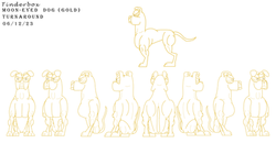 Moon Eyed Dog Turnaround