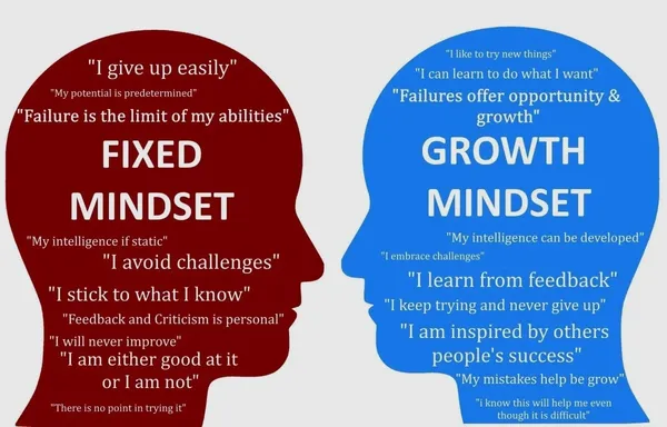 a head filled with what makes up a fixed mindset and a head filled up to a head with things that some a growth mindset