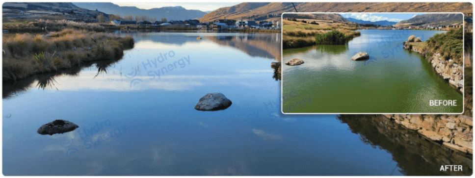 Lake Tewa before-and-after comparison shown in the Water NZ Conference presentation, illustrating visible improvement in water clarity during the ultrasonic deployment period.