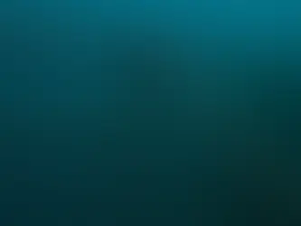 Structural elements of an aquaculture cage showing open netting and surrounding water before fouling pressure escalates