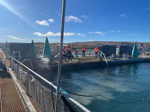 Aquaculture Page.webp