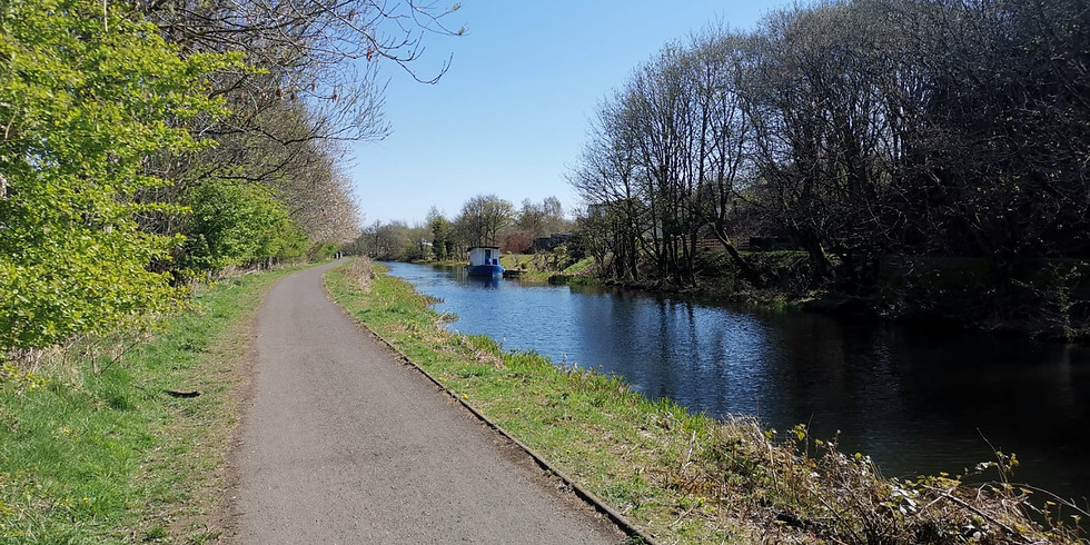 Campsie Glen