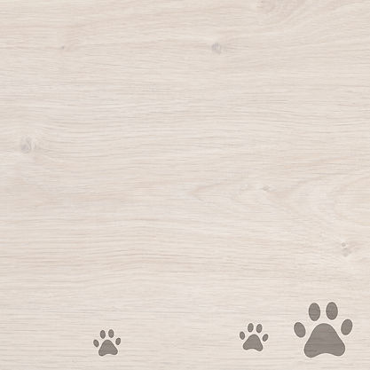 A neat looking background for applications with a few paw prints_edited.jpg