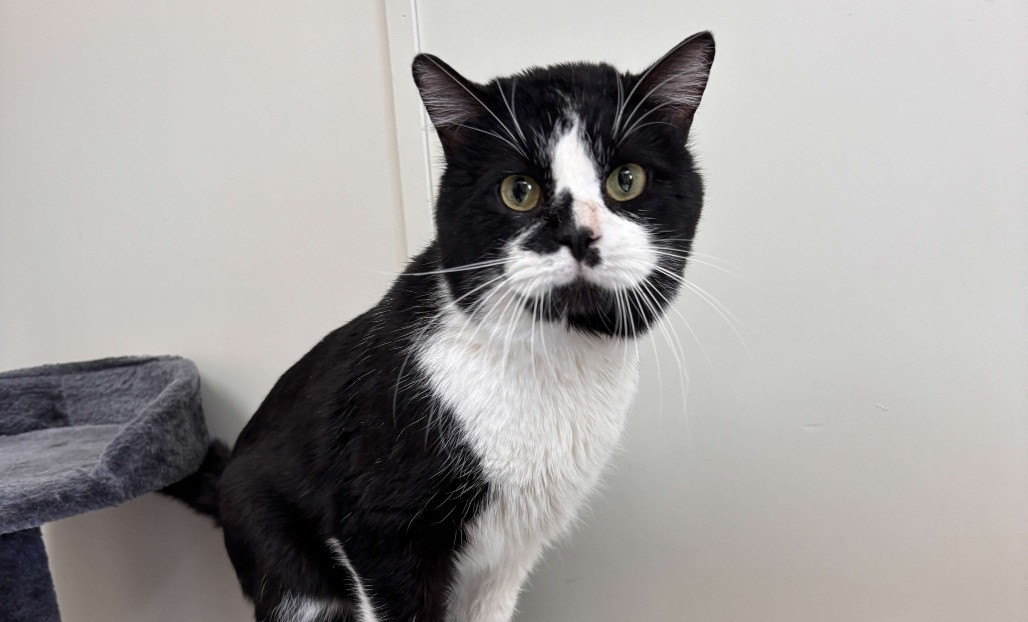 smudge.jpg