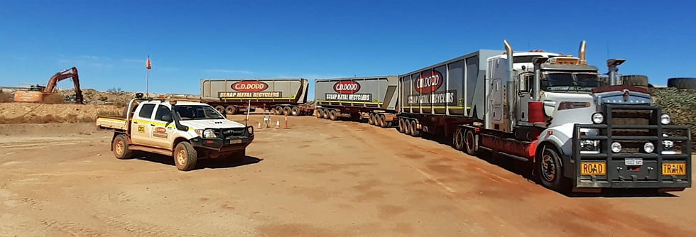 truckwhisperer3.jpg