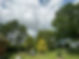 Image 9.jpeg
